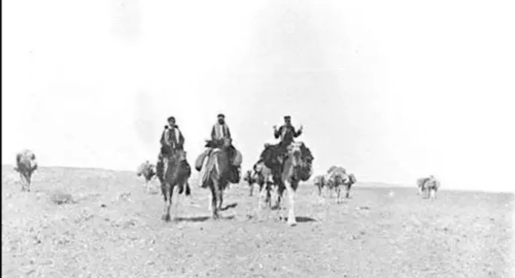 عشيرة الخرشان – النسب، التاريخ | تعرف على قبيلة الخرشان