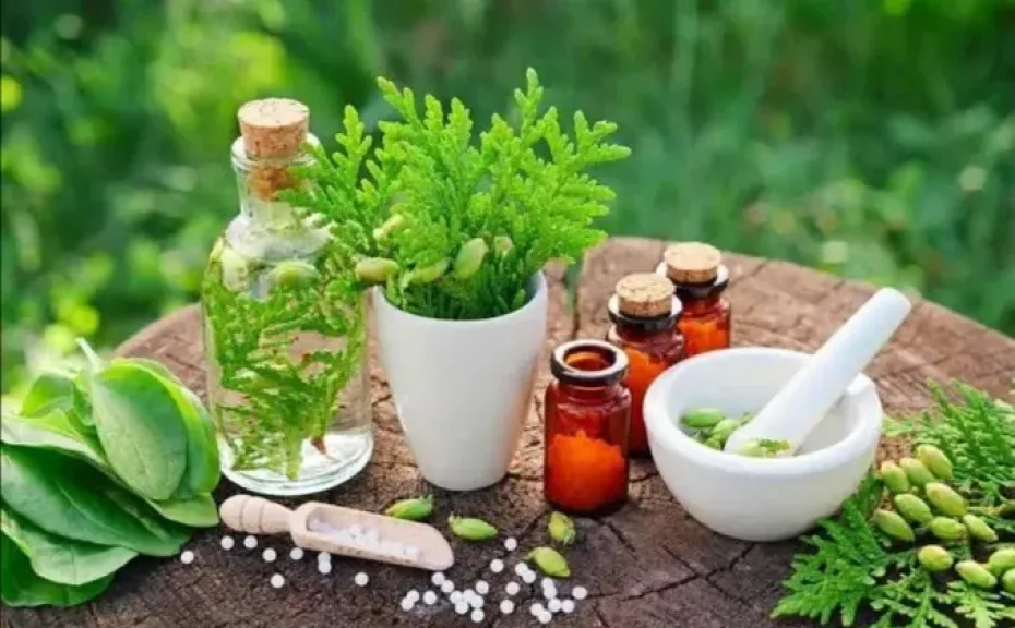 أعشاب ابن سينا | خبرة 15 عاما في التركيبات الطبيعية والعلاج بالأعشاب